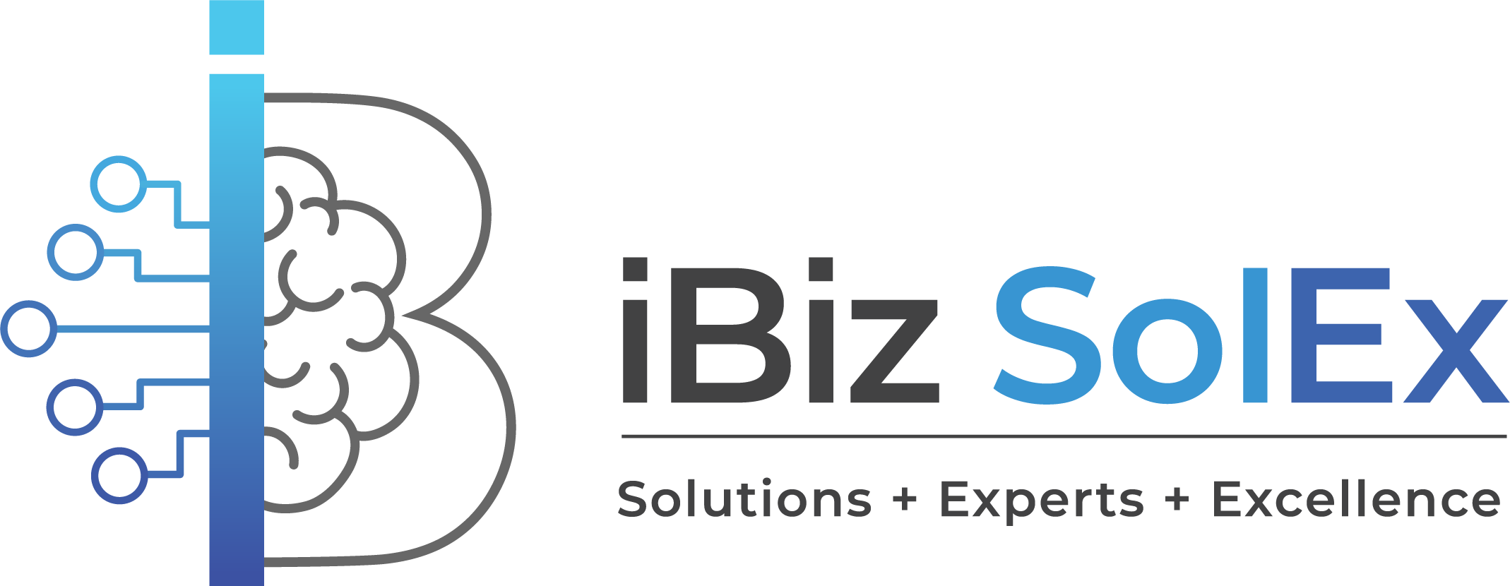 IBIZ SolEx